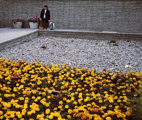 Blumen, Erfurt 1985