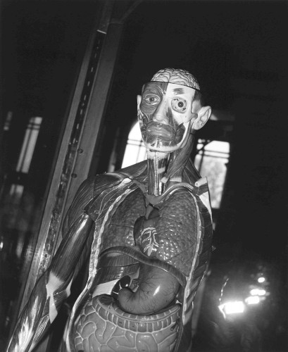 Torso, Leipzig 1982