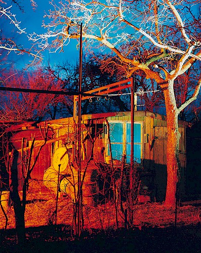 Laube 8, 1998