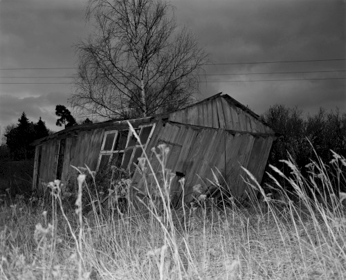 Wald 1, 2006